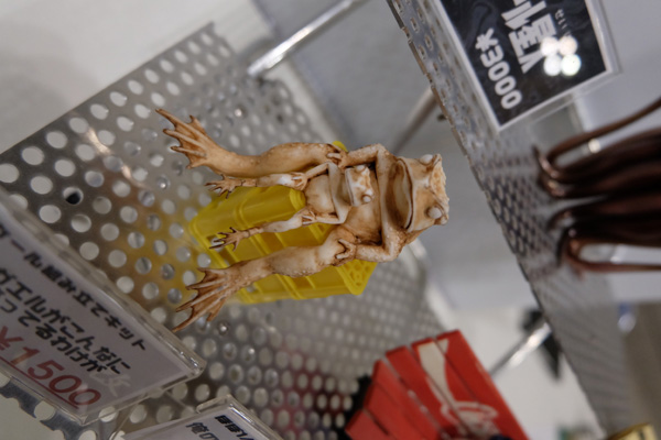 WF2016-winter-056.jpg