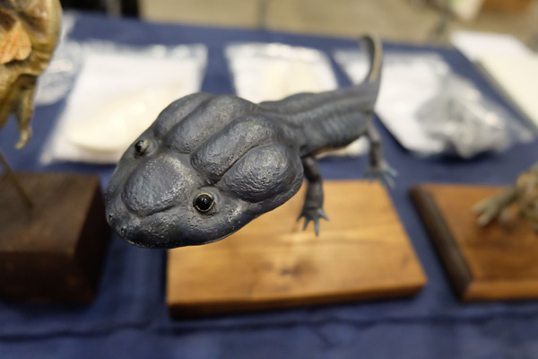 WF2016-winter-070.jpg