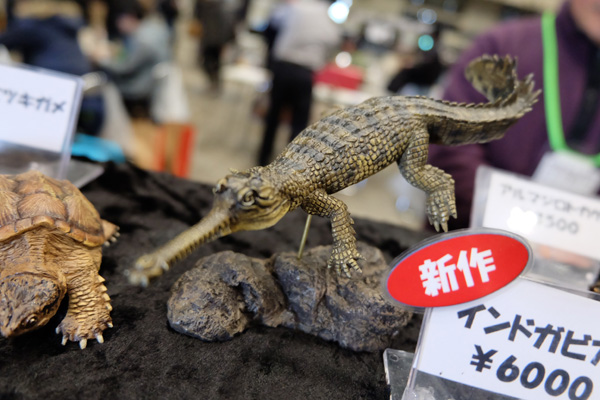 WF2016-winter-096.jpg