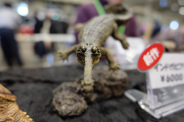 WF2016-winter-097.jpg