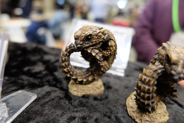WF2016-winter-098.jpg