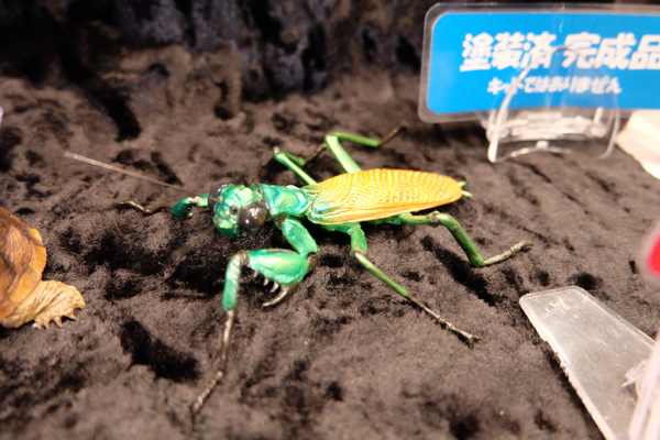 WF2016-winter-100.jpg