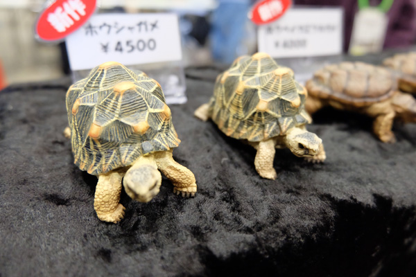 WF2016-winter-101.jpg