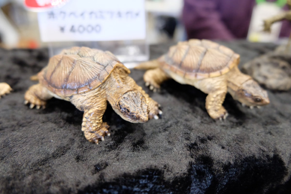WF2016-winter-102.jpg