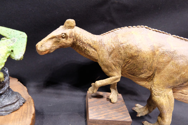 WF2016-winter-189.jpg
