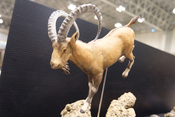 WF2016-winter-191.jpg