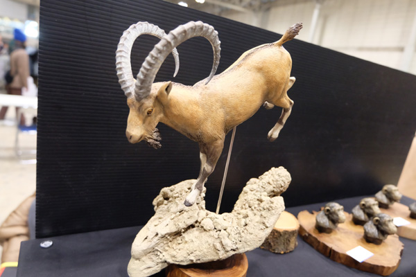 WF2016-winter-192.jpg