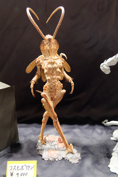 WF2016-winter-282.jpg