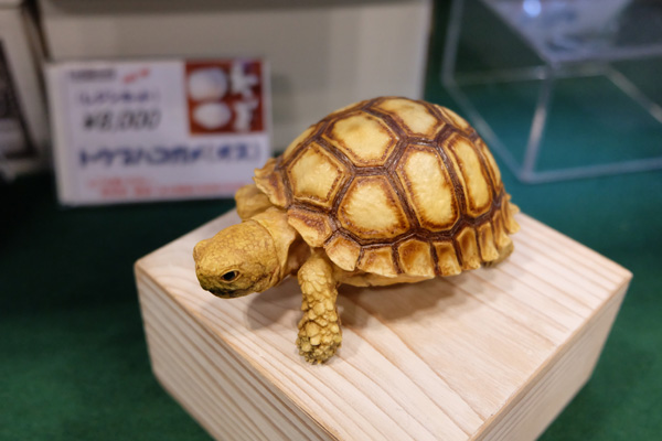 WF2016-winter-303.jpg