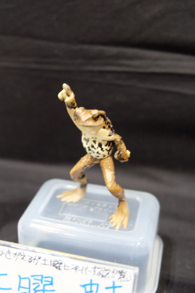 WF2017-summer-065.jpg