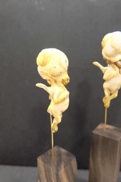 WF2017-summer-097.jpg