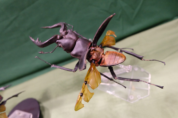 WF2017-summer-127.jpg