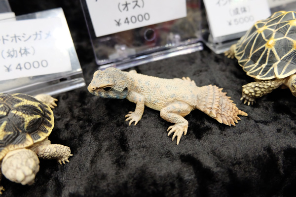 WF2017-summer-175.jpg