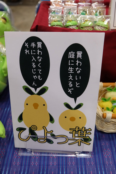 WF2017-summer-227.jpg