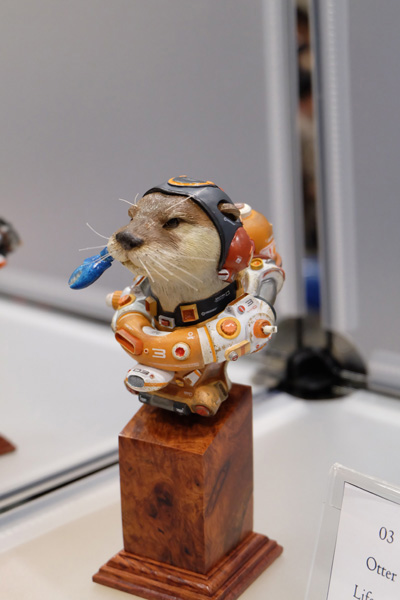 WF2017-summer-375.jpg