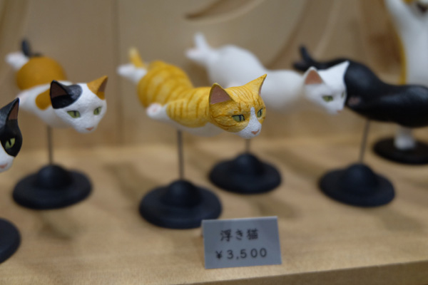 WF2017-winter-008.jpg