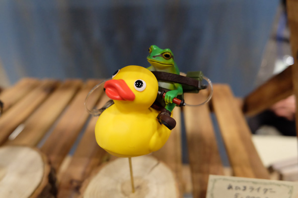 WF2017-winter-113.jpg