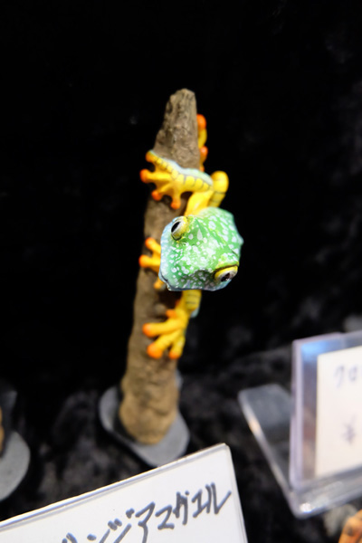WF2017-winter-124.jpg