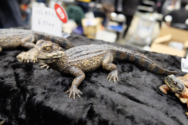 WF2017-winter-127.jpg