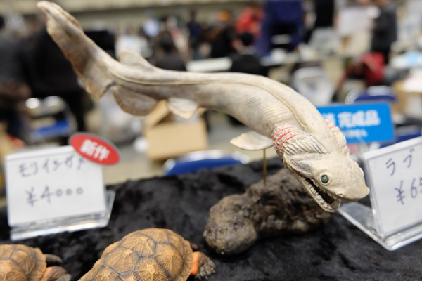 WF2017-winter-128.jpg
