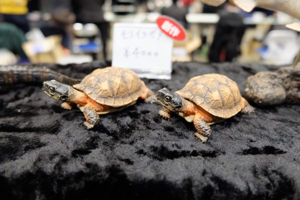WF2017-winter-129.jpg