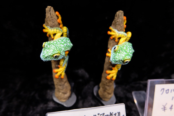 WF2017-winter-131.jpg