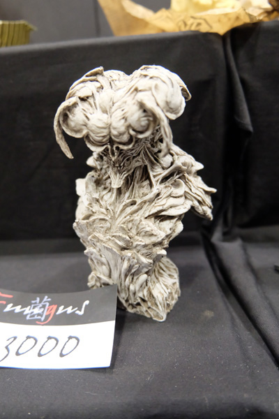 WF2017-winter-158.jpg