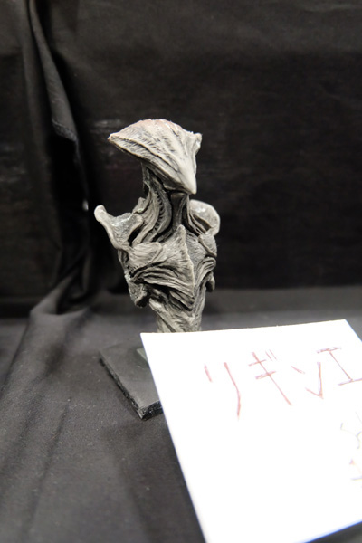 WF2017-winter-159.jpg