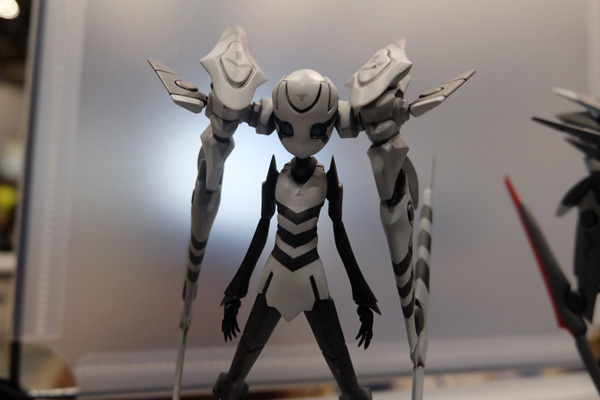 WF2017-winter-167.jpg