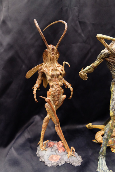 WF2017-winter-214.jpg