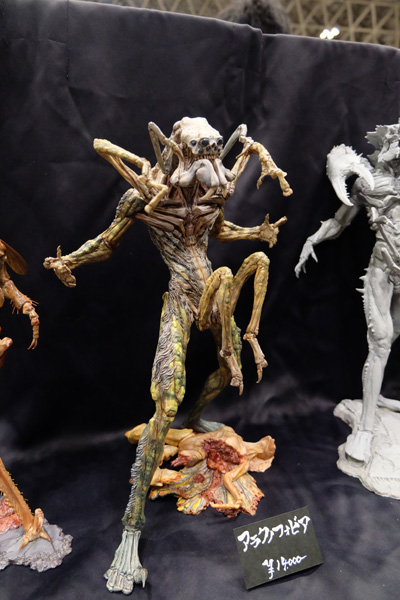 WF2017-winter-215.jpg