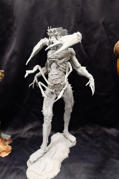 WF2017-winter-216.jpg