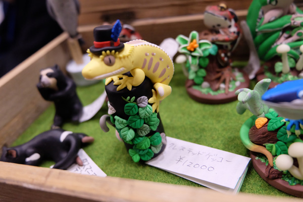 WF2017-winter-255.jpg