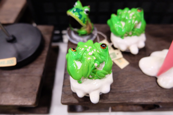 WF2017-winter-316.jpg