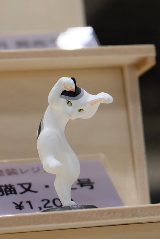 WF2018-summer-007.jpg