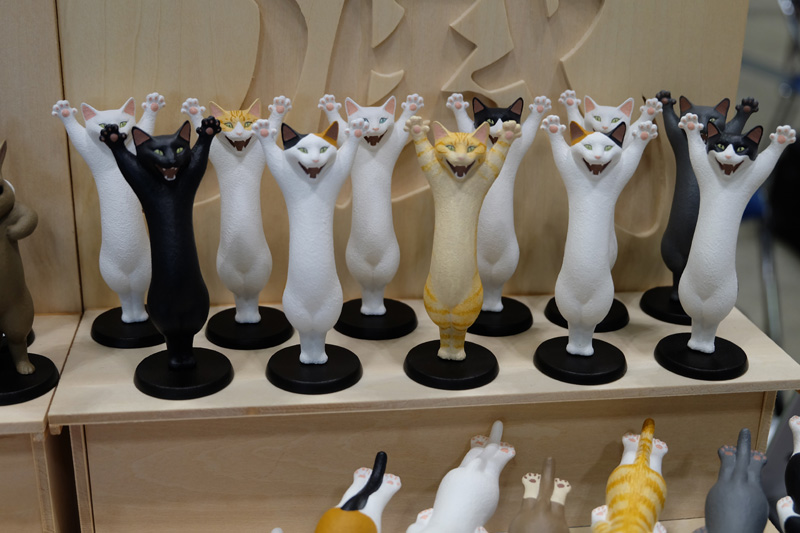WF2018-summer-017.jpg