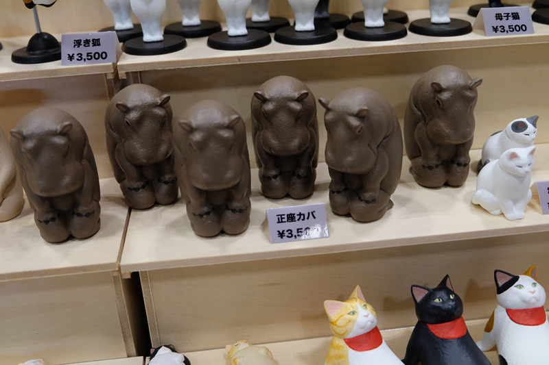 WF2018-summer-026.jpg