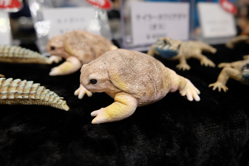 WF2018-summer-092.jpg