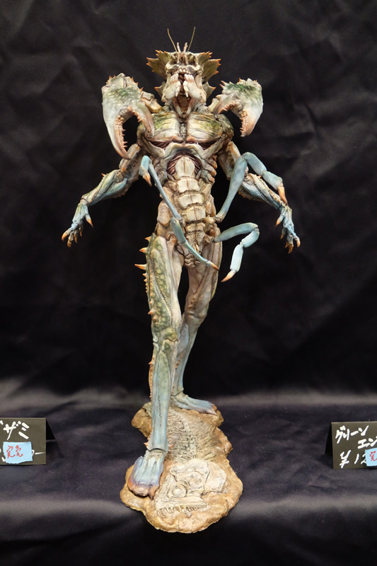WF2018-summer-276.jpg