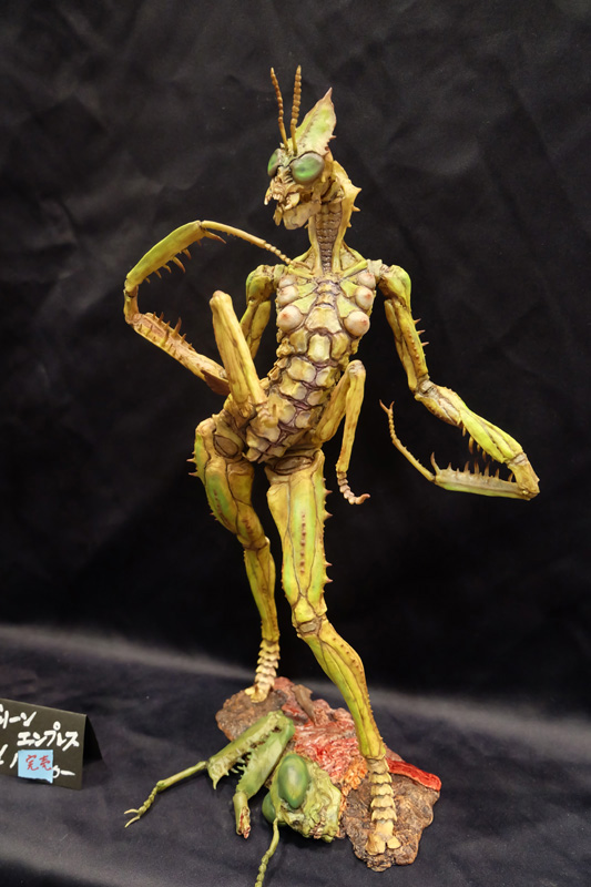 WF2018-summer-278.jpg