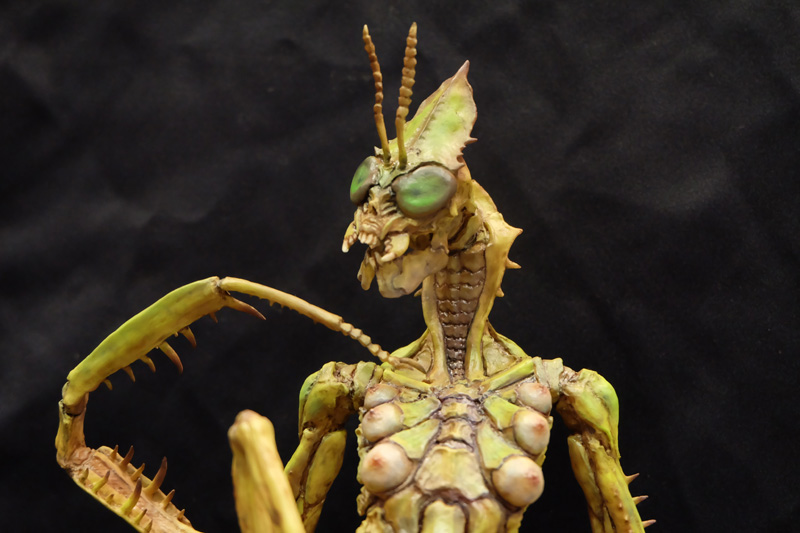 WF2018-summer-279.jpg