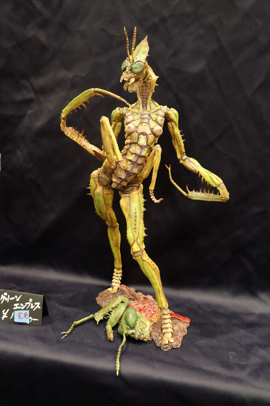 WF2018-summer-280.jpg