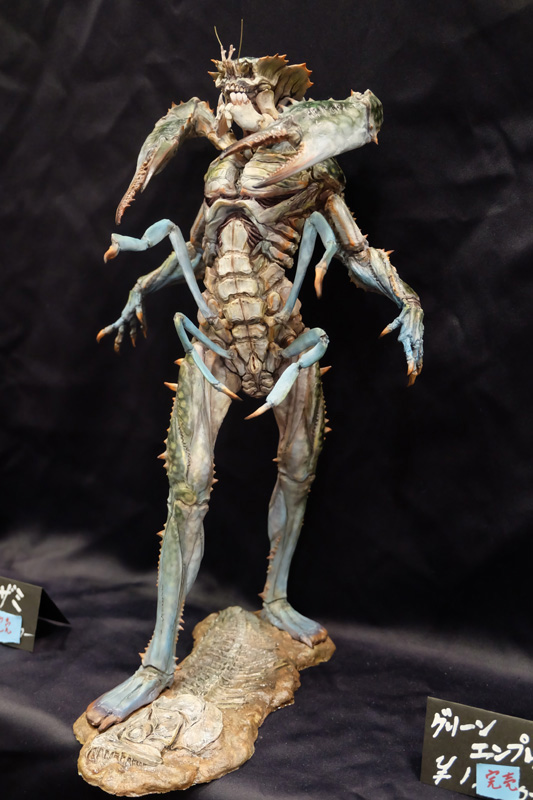 WF2018-summer-281.jpg