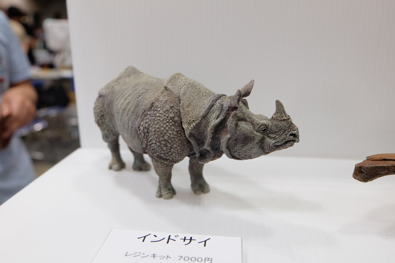 WF2018-summer-325.jpg
