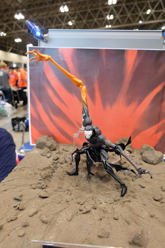 WF2018-summer-329.jpg