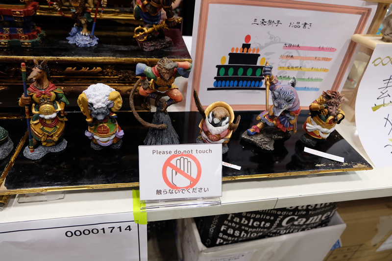 WF2018-summer-393.jpg