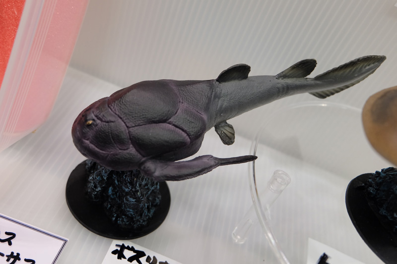 WF2018-summer-442.jpg