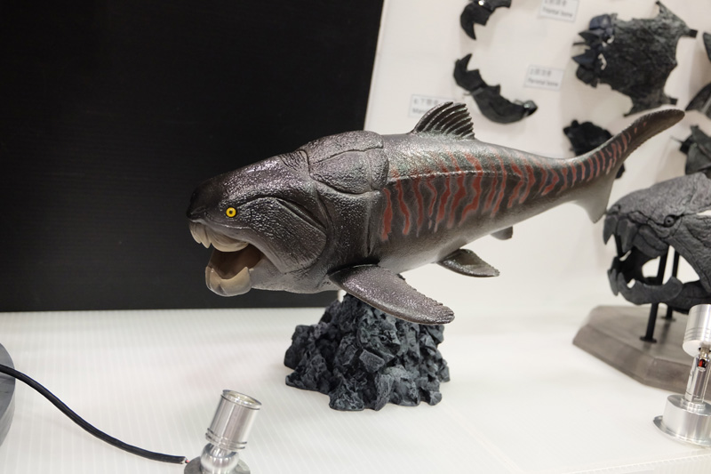 WF2018-summer-444.jpg