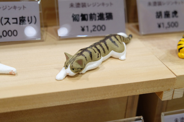 WF2018-winter-001.jpg