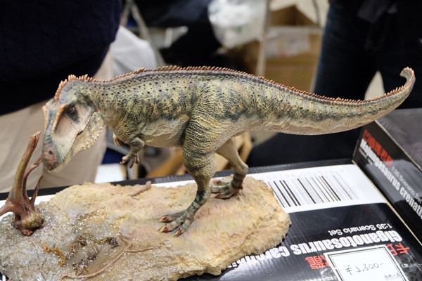 WF2018-winter-134.jpg